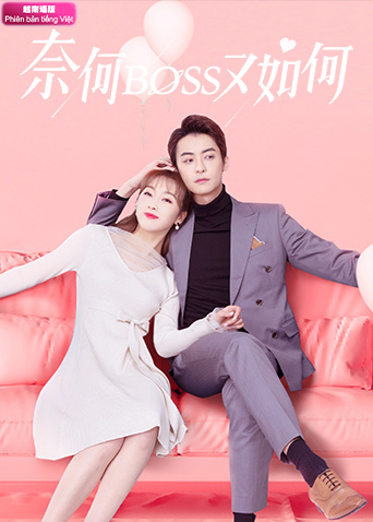 奈何boss又如何越南