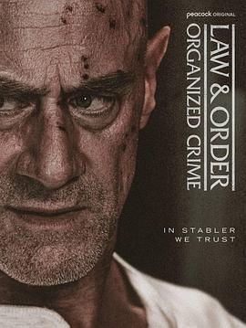 法律与秩序组织犯罪第五季