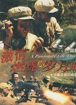 激情燃烧的岁月第三季